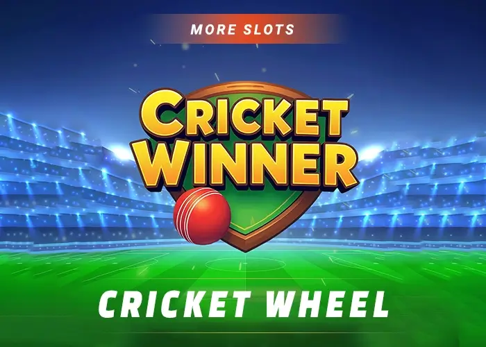 Cricket Winner — AllPanel777 cricket panel game